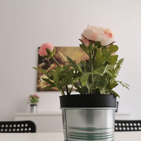 Holiday Home Caronda 卡塔尼亚 外观 照片